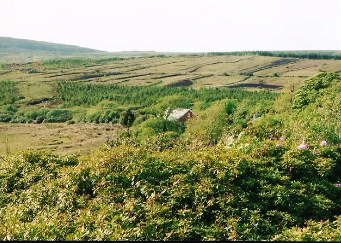 Casa vacanze Charming House In With Garden