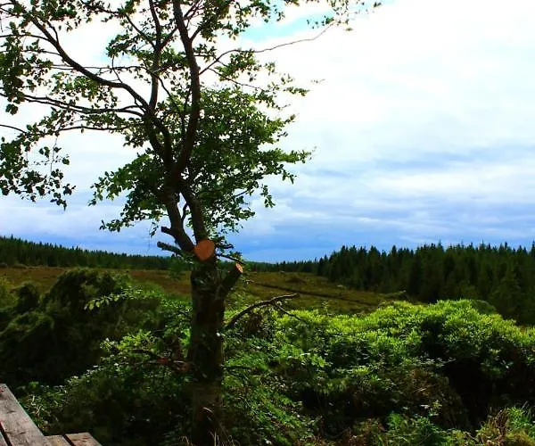 Charming House In With Garden * Laghy